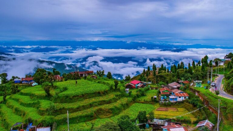 PROD_darjeeling_travel_Zee_Zest_1644238122682_thumb_1200